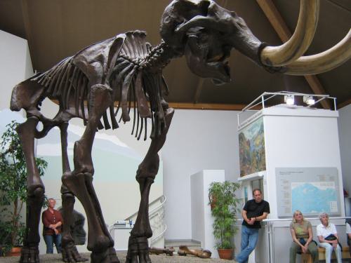 109_Siegsdorf Mammutmuseum